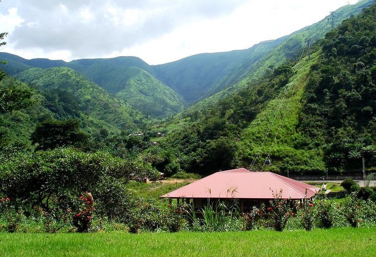 Nigerian forest landscape